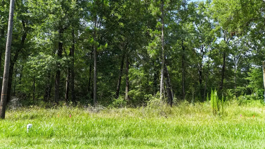 00 Southland Circle, Livingston, TX 77351 - Image #3