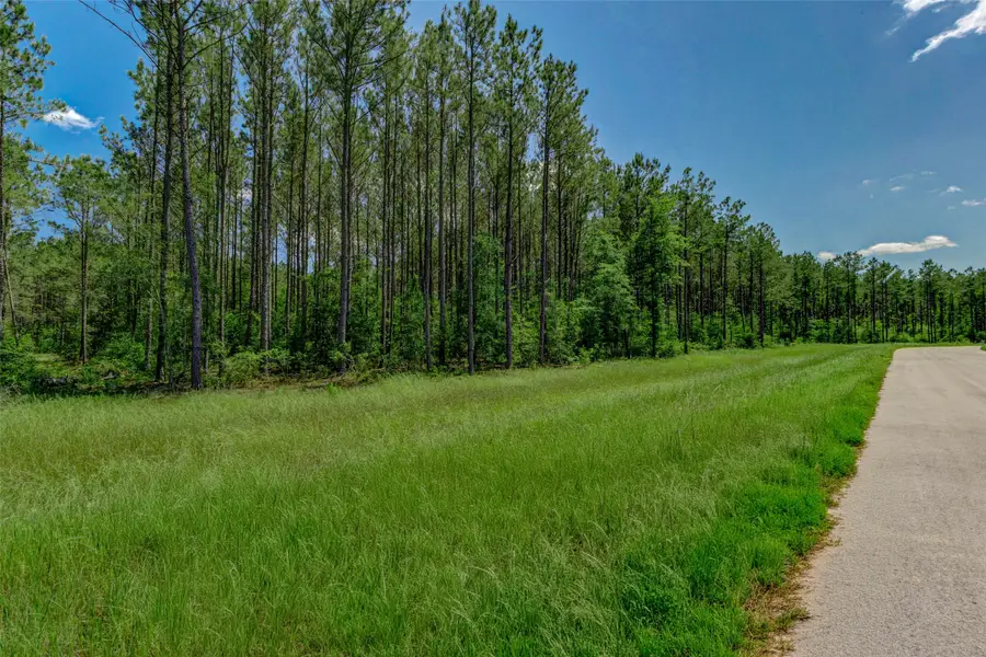 16215 Golden Wood Court, Willis, TX 77378 - #2