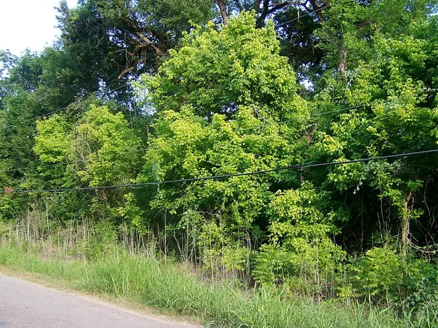 433 Manila Drive, Angleton, TX 77515 - Image #2