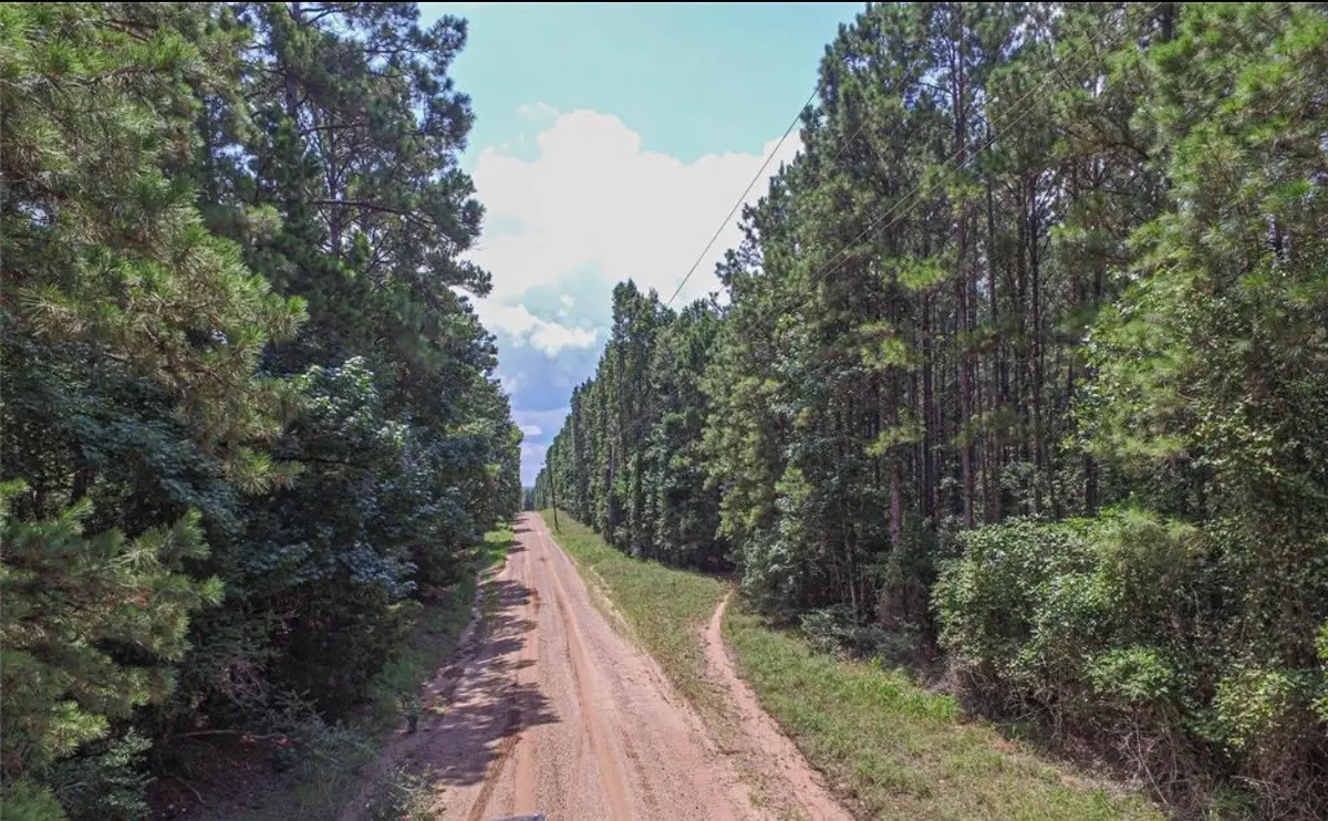 TBD Hickman Road, Corrigan, TX 75939 - #1