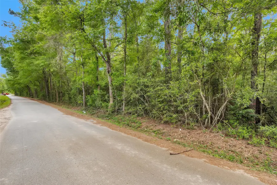 15672 Ben Wiggins, Conroe, TX 77303 - #3