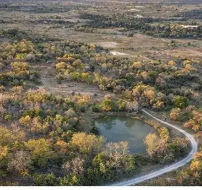 00 Cr 4210, Kerens, TX 75144 - #2