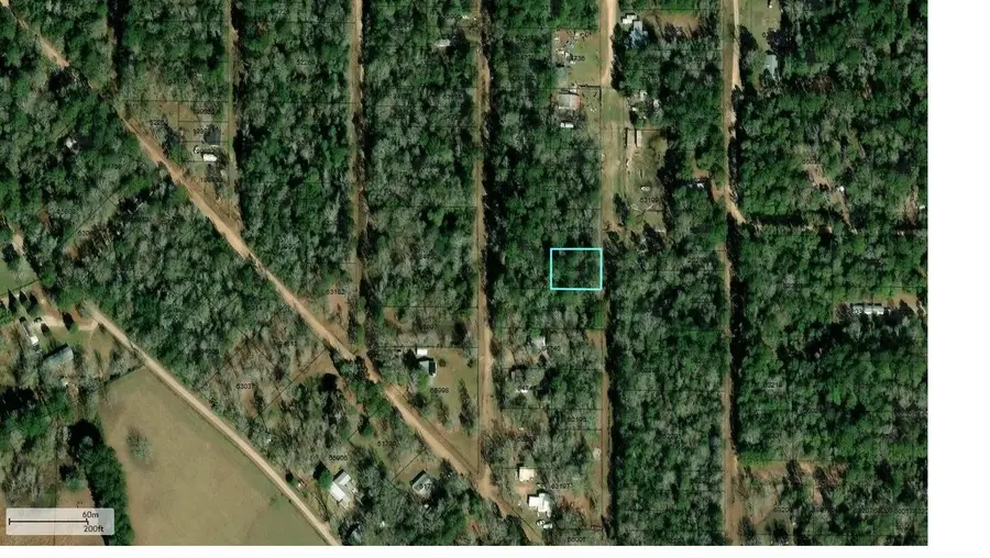 254 Bobby Baer Road, Livingston, TX 77351 - Image #3