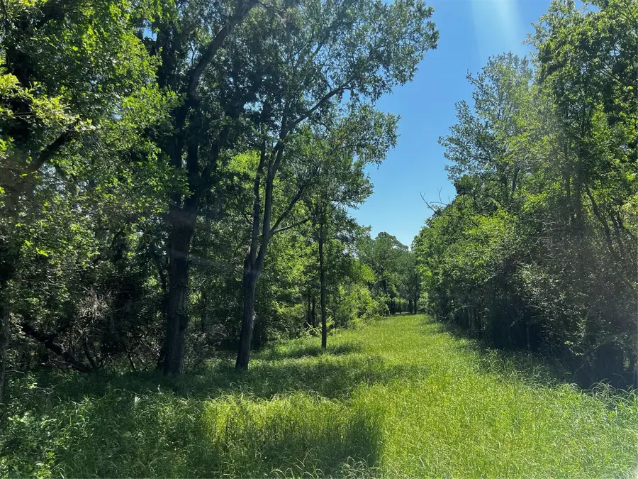 0 Meyer Rd, San Felipe, TX 77474 - Image #2