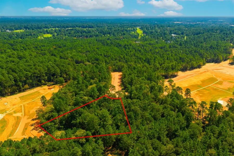 26426 Old Head Trail, Montgomery, TX 77316 - #2