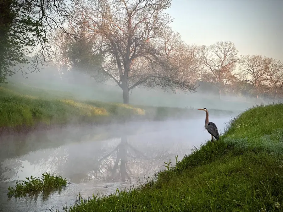 31119 Riverlake Road, Fulshear, TX 77441 - Image #2