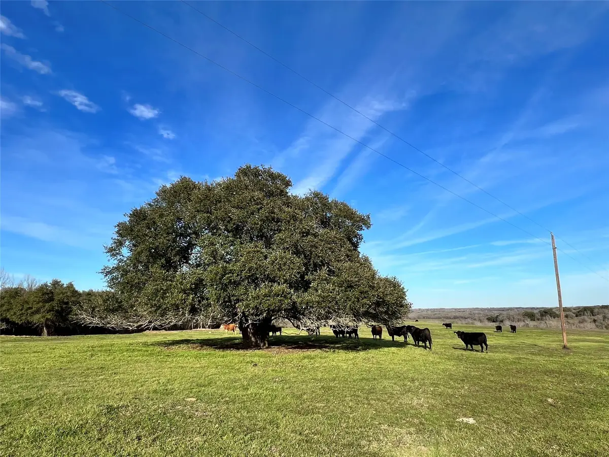 9785 Oil Field Road, Brenham, TX 77833 - #1