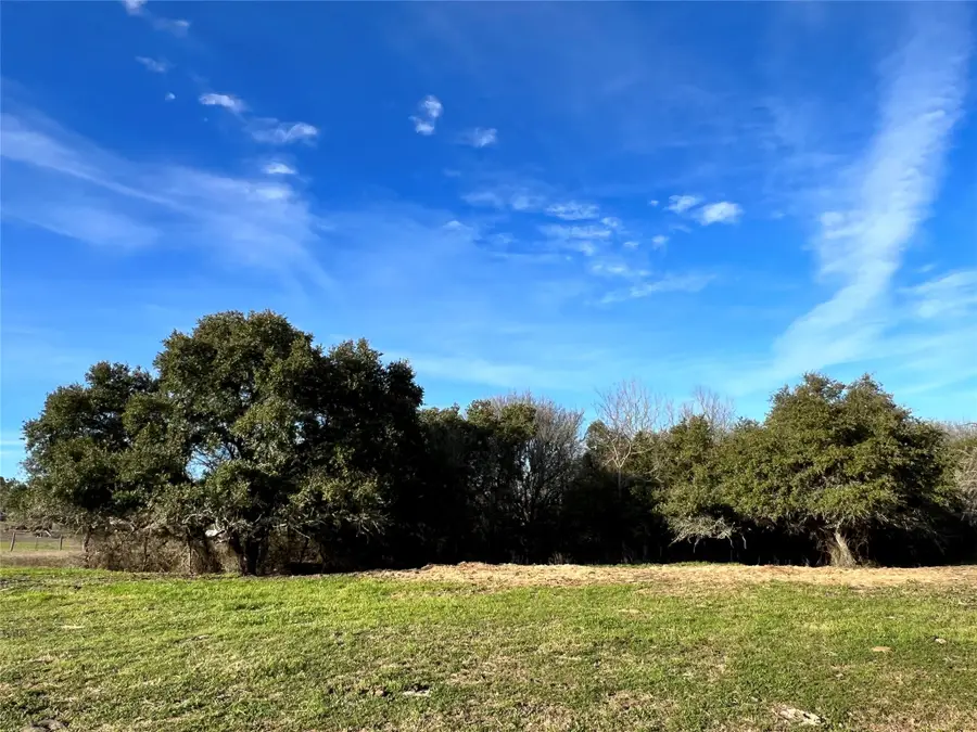 9785 Oil Field Road, Brenham, TX 77833 - #2