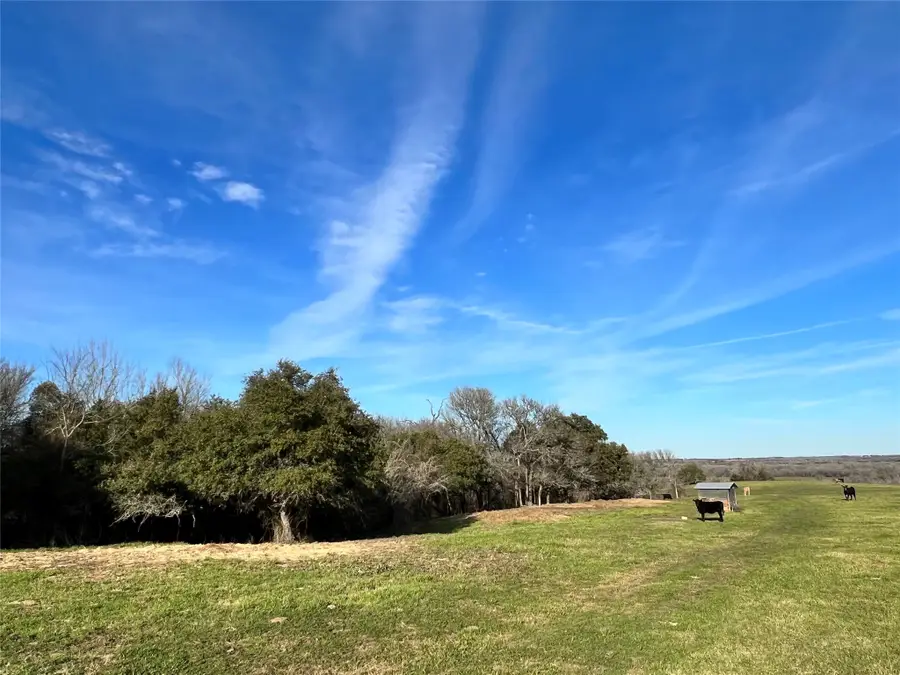 9785 Oil Field Road, Brenham, TX 77833 - #3