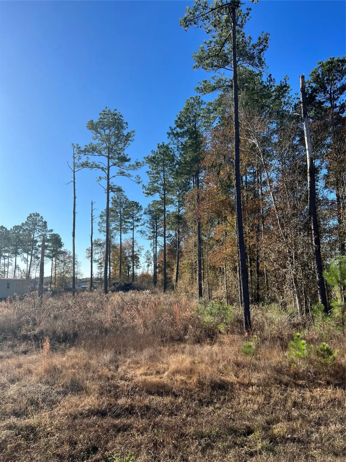 366 County Road 5021, Cleveland, TX 77327 - #1