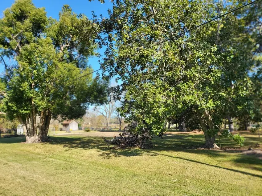 1128 Hathaway, La Marque, TX 77568 - Image #2