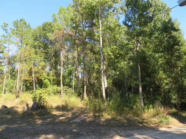 000 County Road 2125, Cleveland, TX 77327