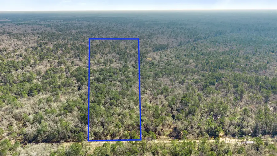 12310 Picos Road, Saratoga, TX 77585 - Image #2