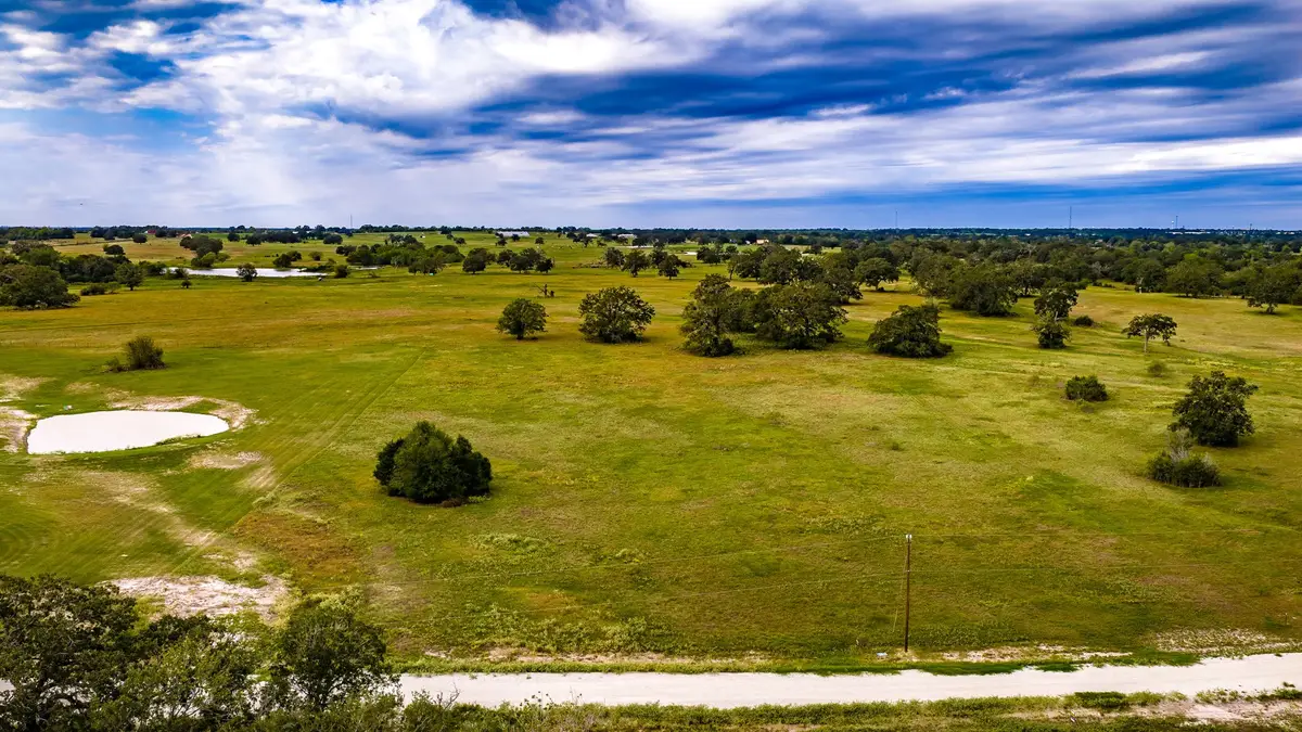 1390 Connor Landing Street, Madisonville, TX 77864 - #1