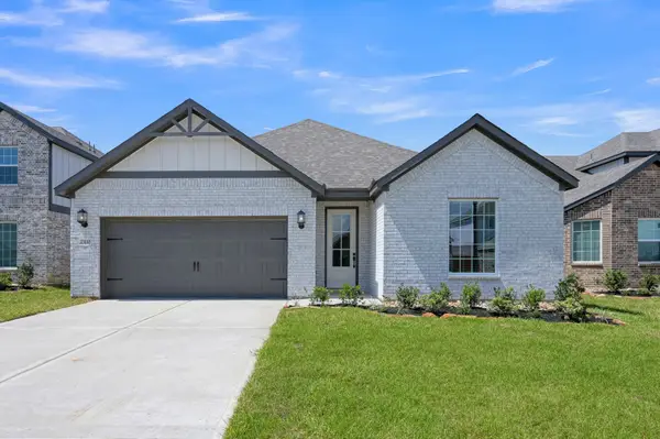 23110 Dadi Orchid Drive, Hockley, TX 77447