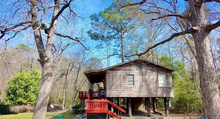 21173 Shakey Hollow, Conroe, TX 77306 - #2