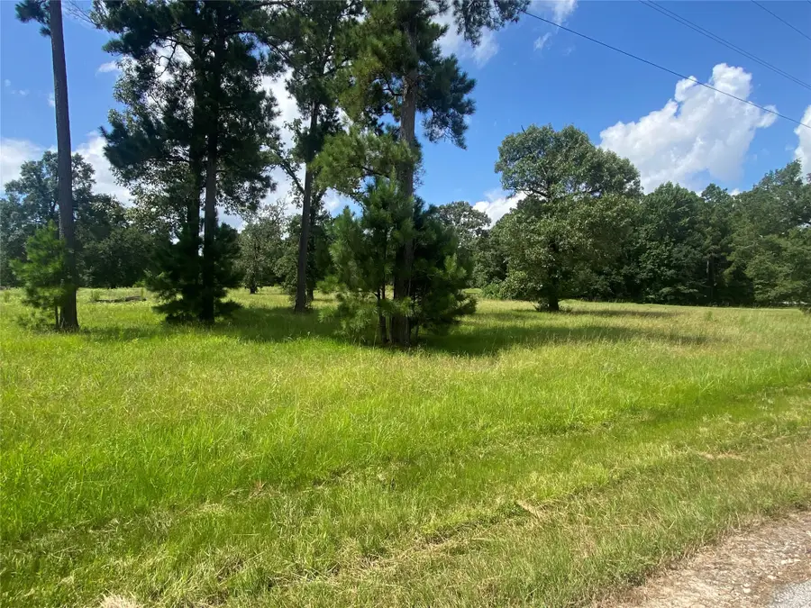 Lot 2 Dahlia Road, Huntsville, TX 77320 - #2