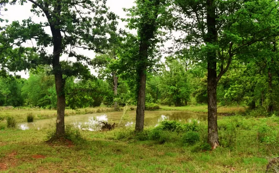 TBD Fcr 421 W, Buffalo, TX 75831 - #3