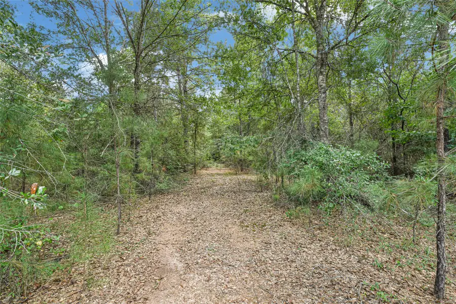 21490 Big Buck Drive, Cleveland, TX 77328 - Image #2