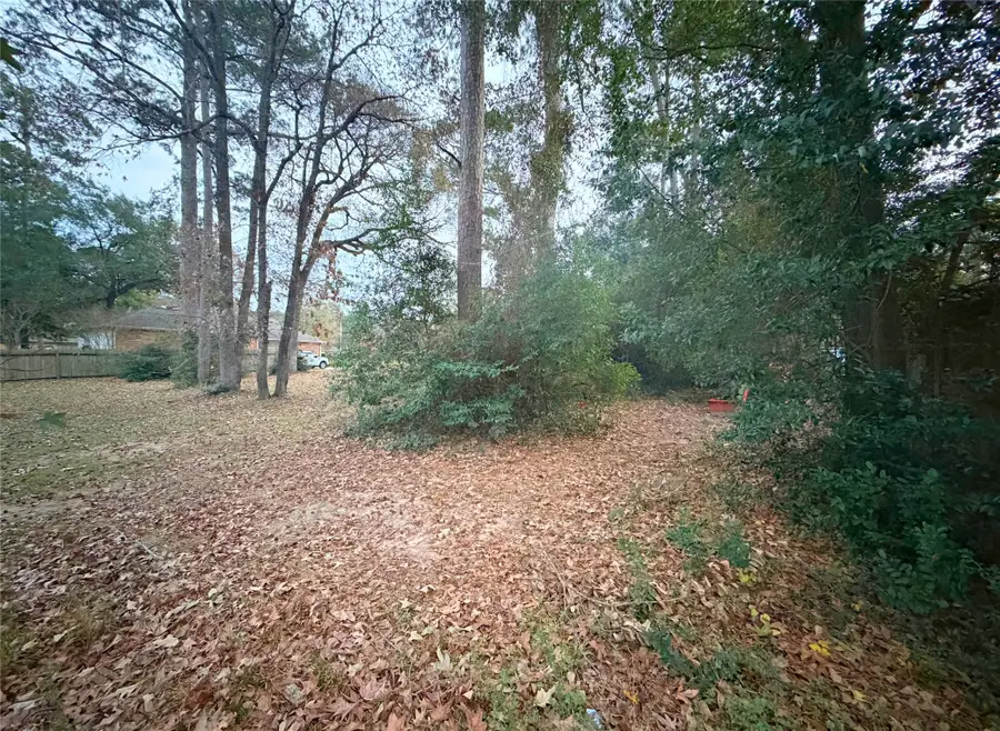 14114 Spring Pines Drive, Tomball, TX 77375 - Image #3