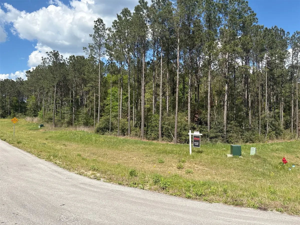 15648 Cricket Creek Court, Willis, TX 77378 - #1