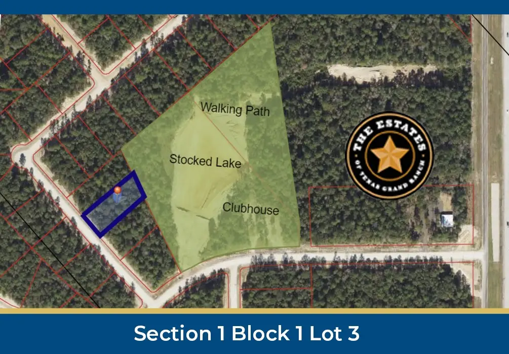 126 Hollow Hill Drive, New Waverly, TX 77358 - #1