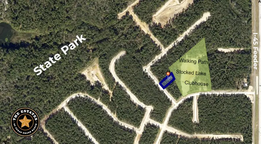 126 Hollow Hill Drive, New Waverly, TX 77358 - #2