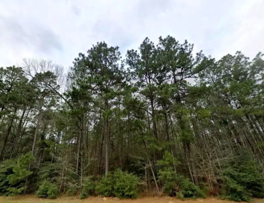 126 Hollow Hill Drive, New Waverly, TX 77358 - #3