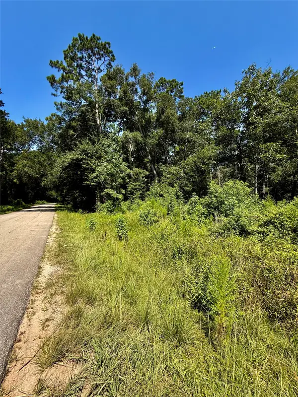 TBD Lot 6 Rolling Hills Drive, Porter, TX 77365