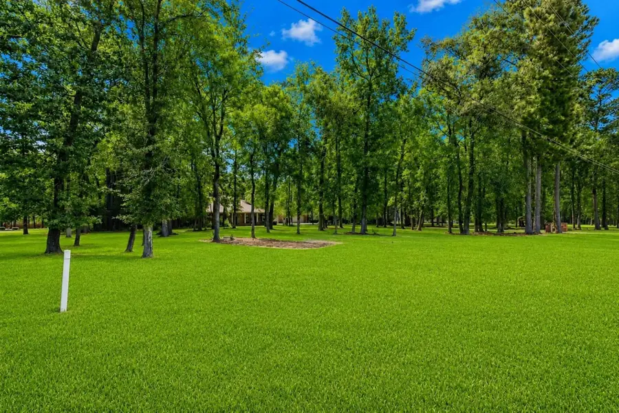 10034 Crestwater Circle, Magnolia, TX 77354 - #3