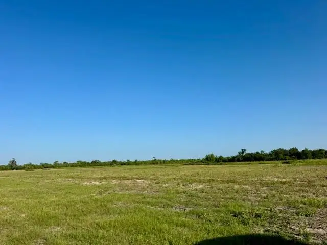 000 Fm 1462, Rosharon, TX 77583 - #2