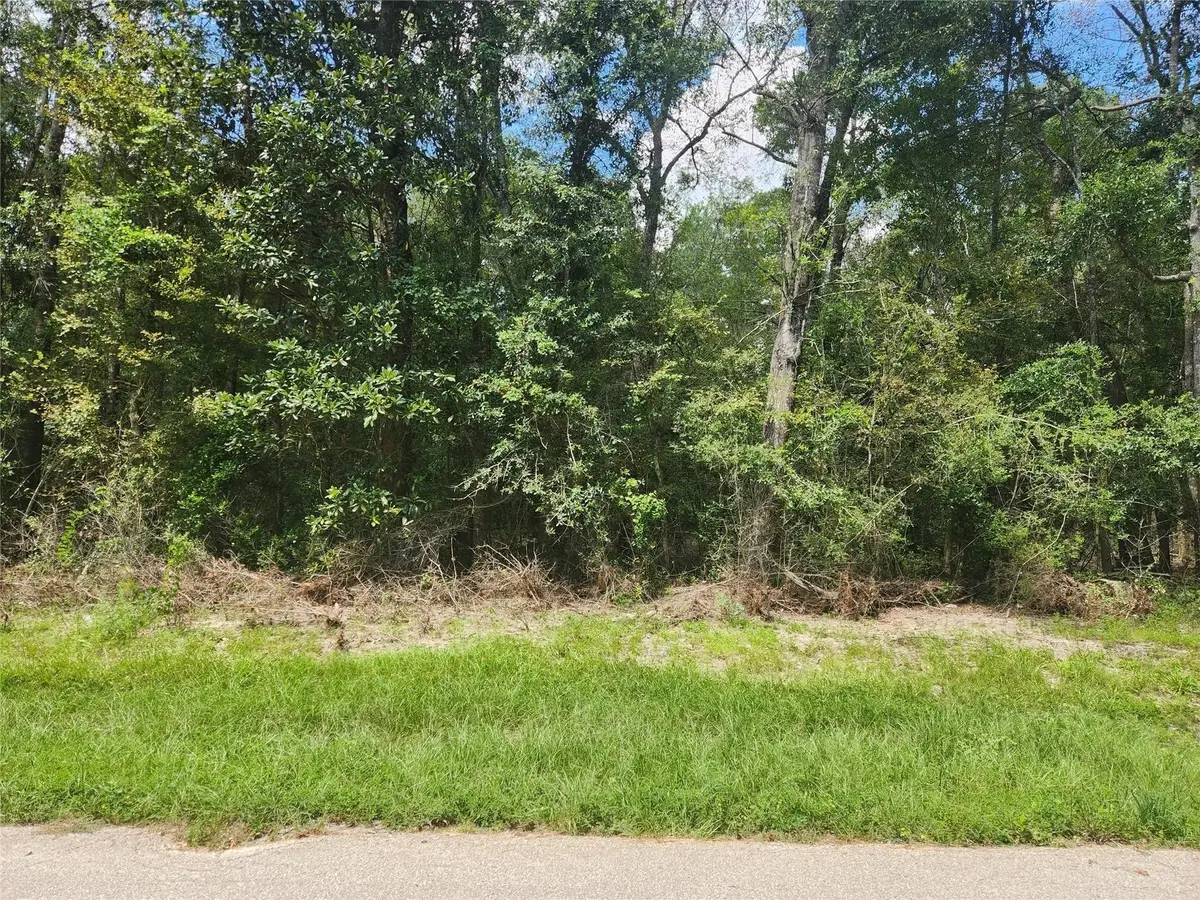 TBD Idlewood Rdwy, New Caney, TX 77357 - #1