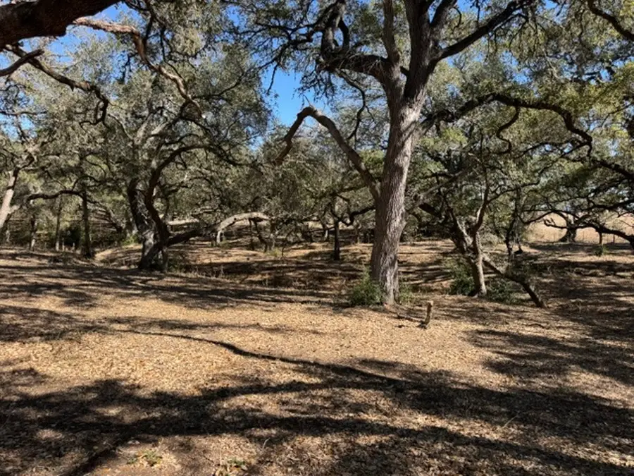 TBD Wolters And Kainer Road, Schulenburg, TX 78956 - #3