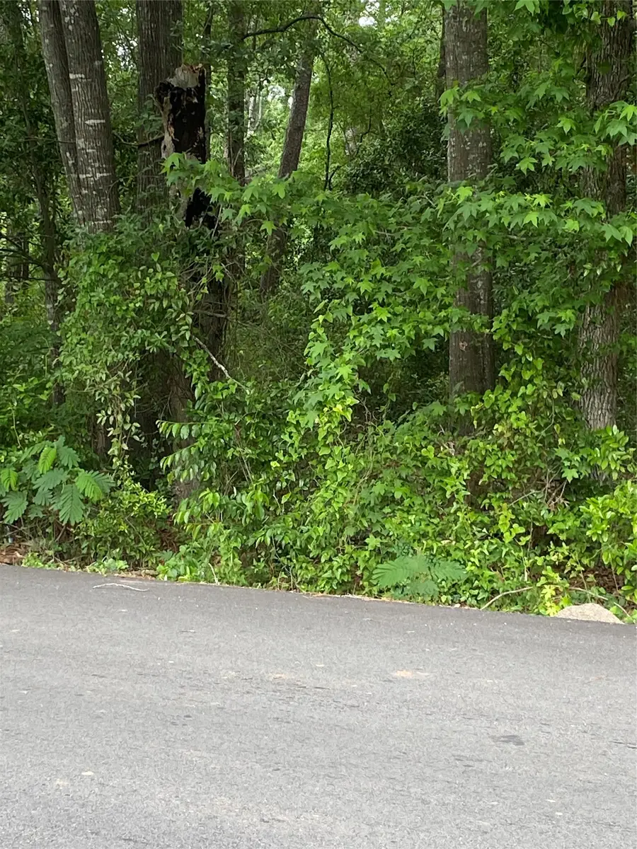 706 Hayman Street, Huntsville, TX 77340 - #2