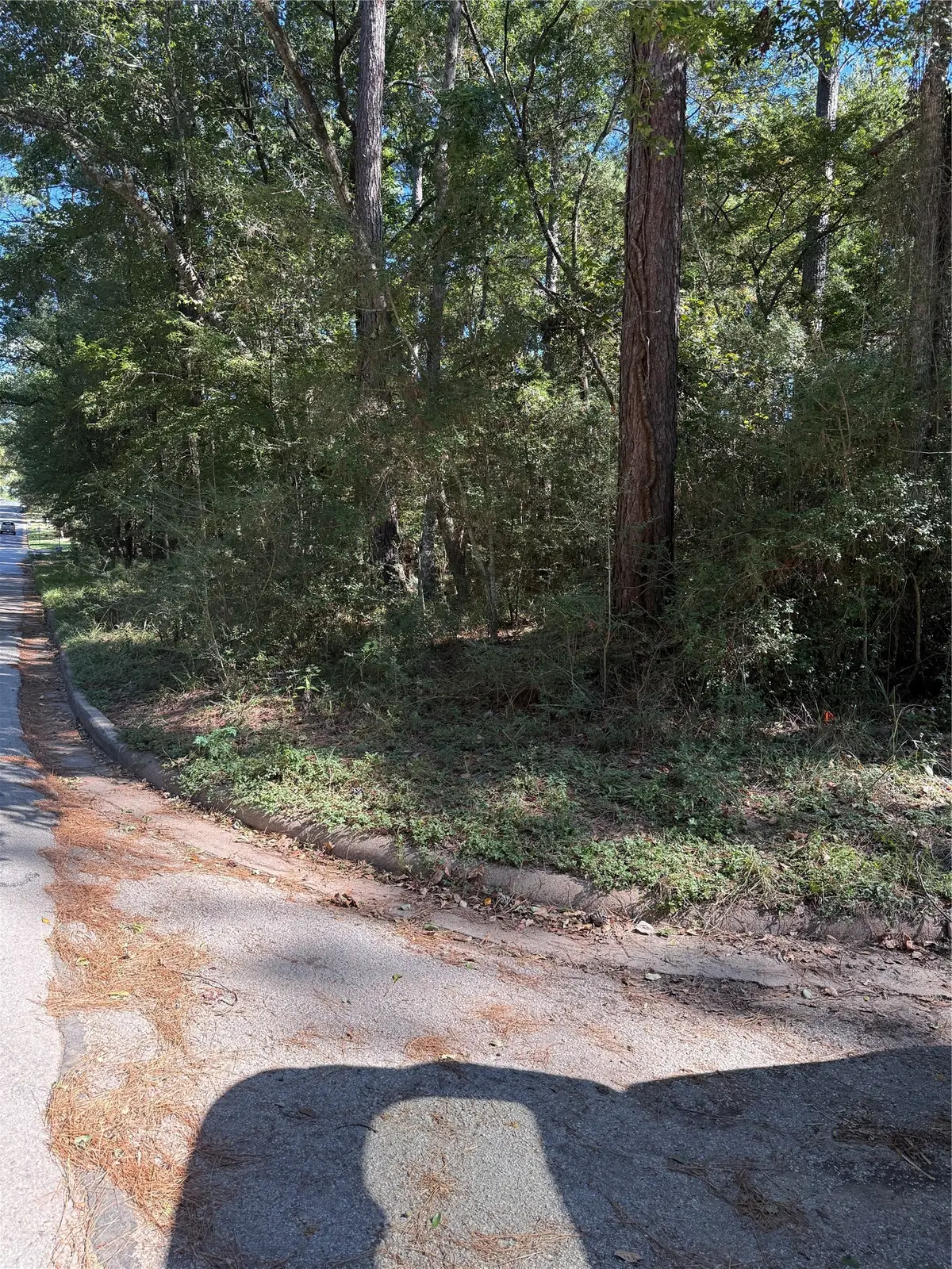 296 Broadmoor Drive, Huntsville, TX 77340 - #1