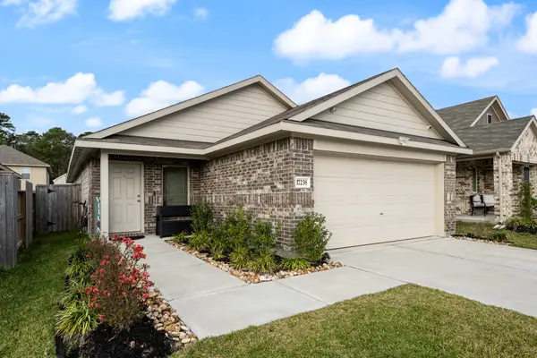 17238 Black Ash Court, New Caney, TX 77357