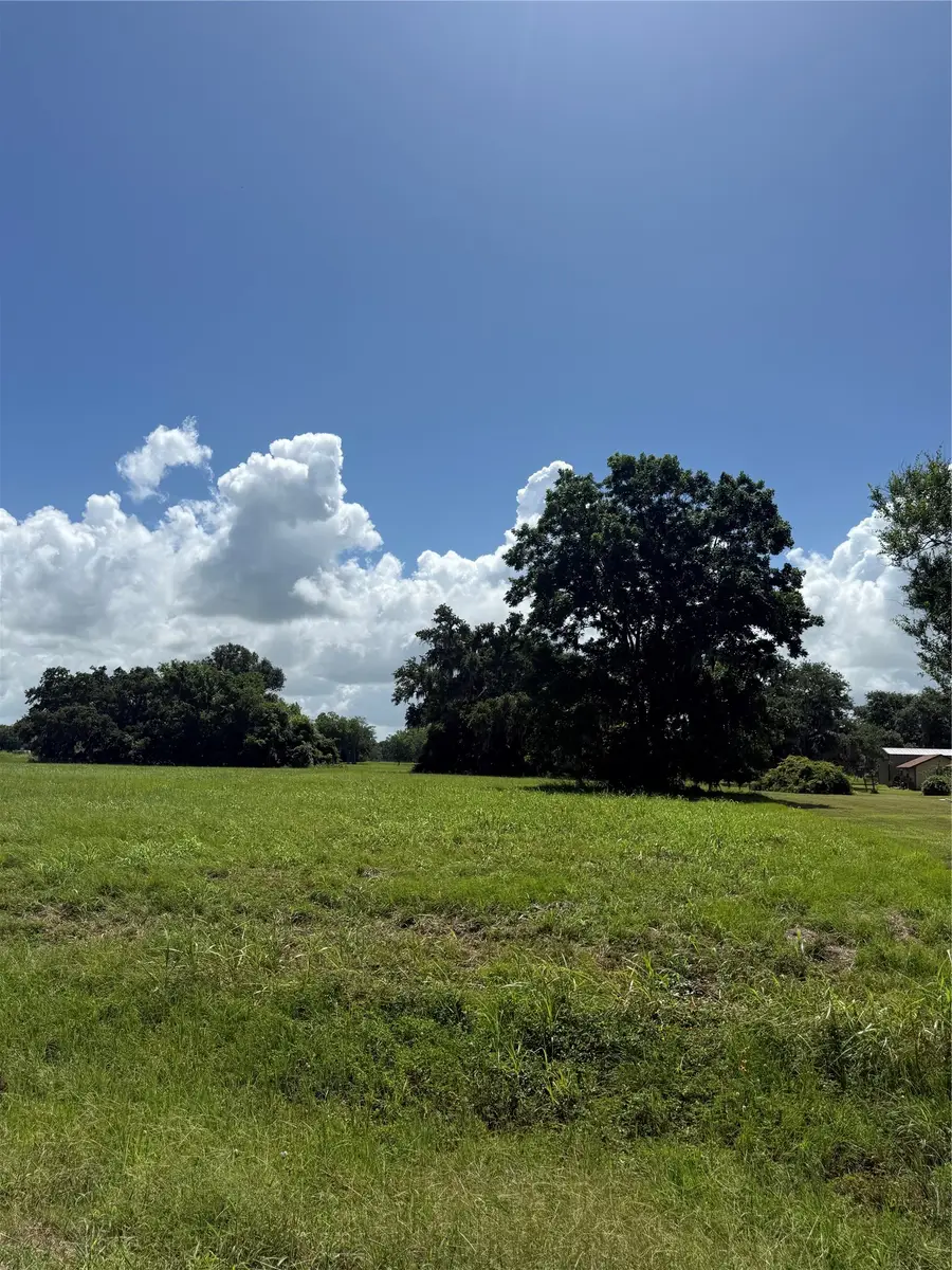 1149 Frontier Trail, Angleton, TX 77515 - #3