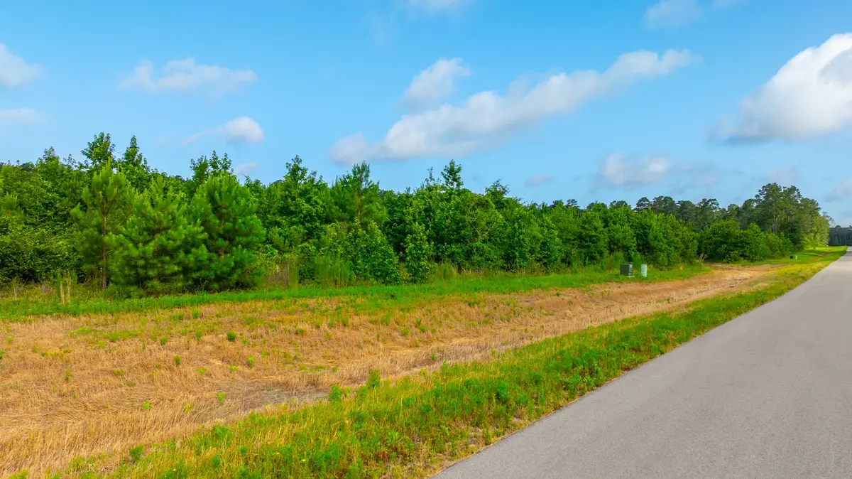 16151 Forest Mill Rd Road, Willis, TX 77378 - #1