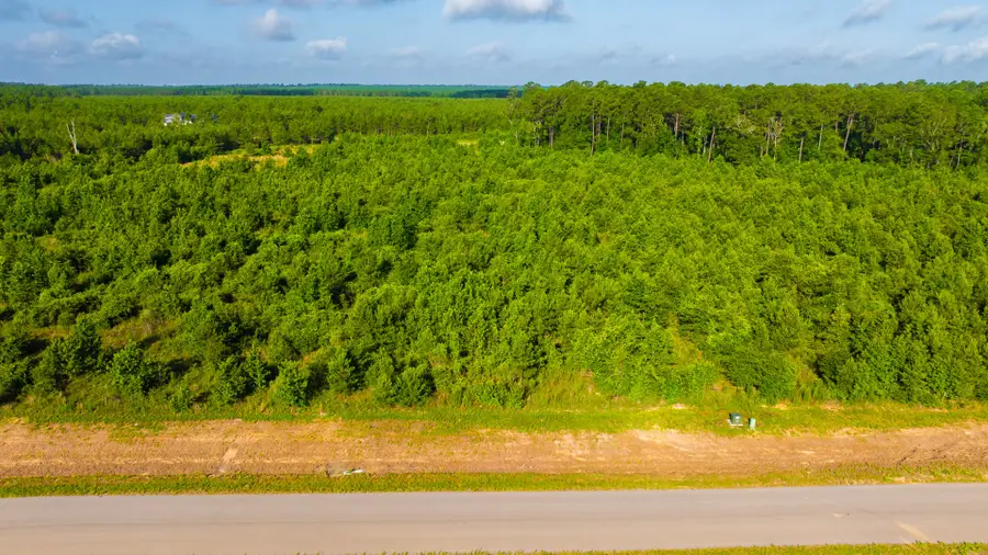 16151 Forest Mill Rd Road, Willis, TX 77378 - #2