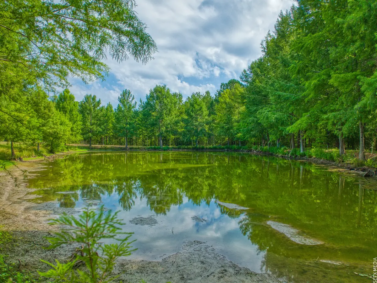 1630 County Road 219, Brookeland, TX 75931 - #1