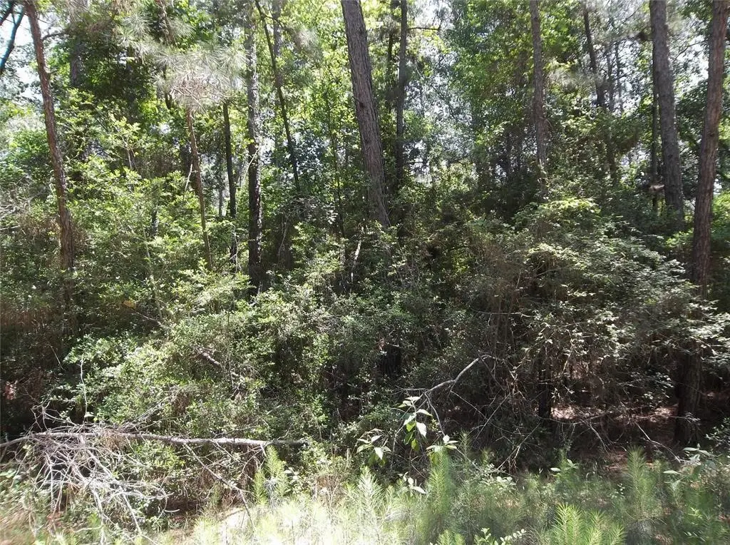 0 Warbler, Hempstead, TX 77445 - Image #1