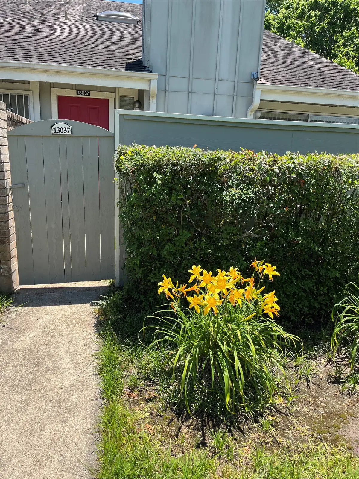 13037 Leader Street, Houston, TX 77072 - #1