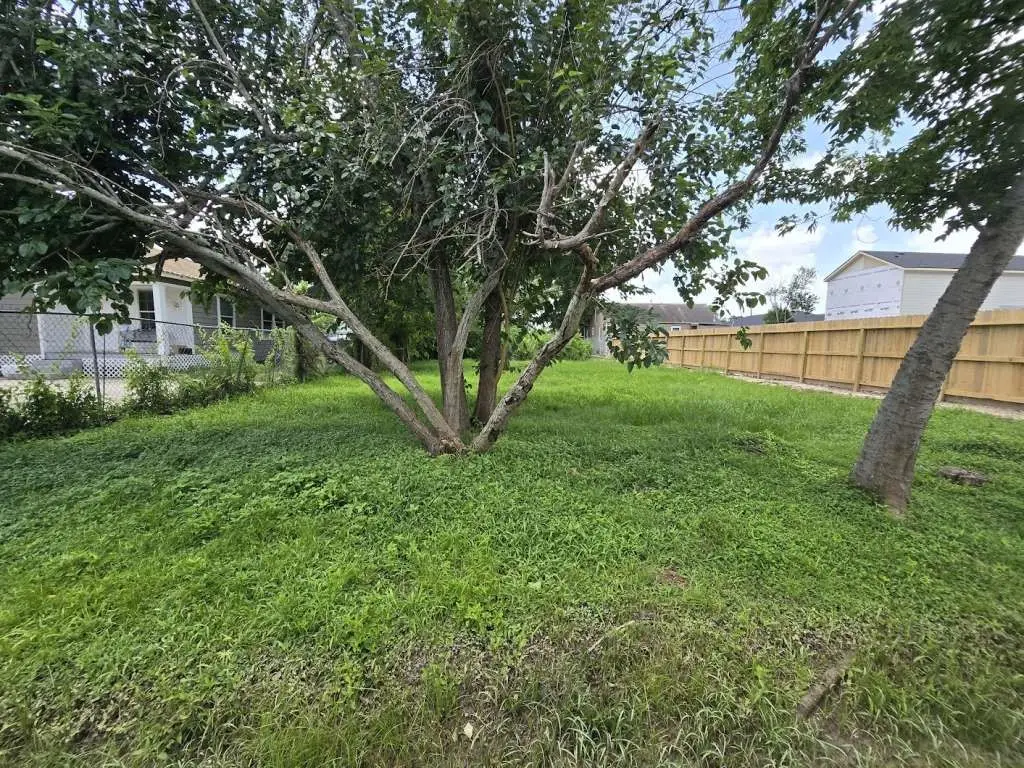 981 Fillmore Street, Houston, TX 77029 - Image #1