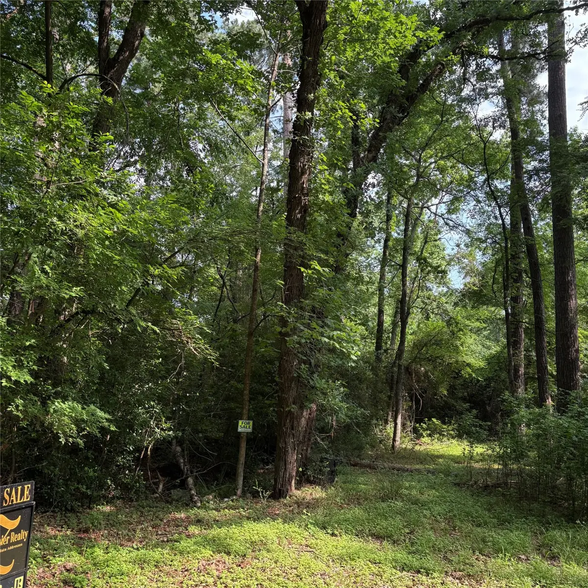 00 Canvasback Lane, Trinity, TX 75862 - #1