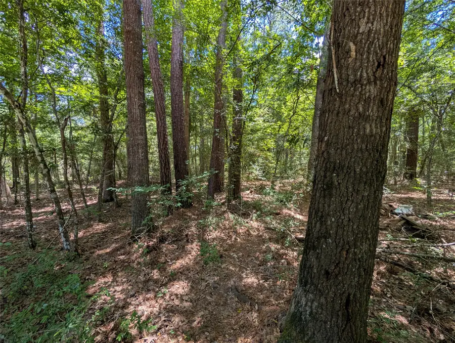 0 Rd 2721, Cleveland, TX 77327 - #2