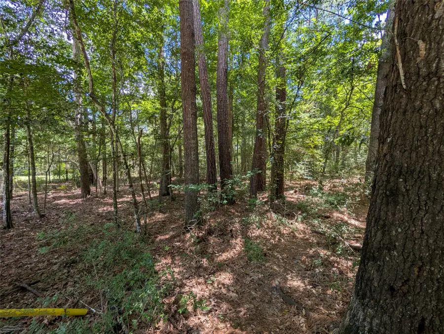 0 Rd 2721, Cleveland, TX 77327 - #3