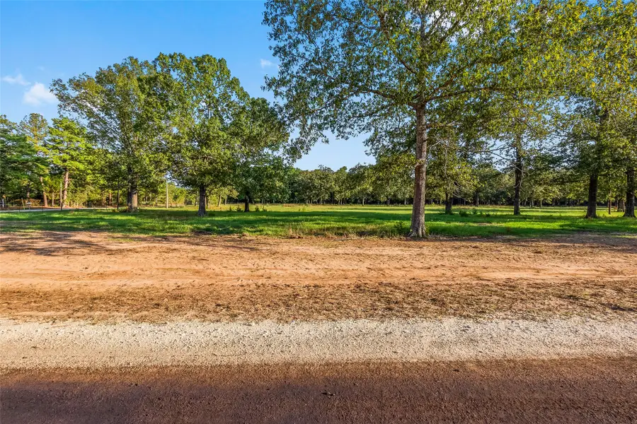 6160 Alans Memorial Lane, New Waverly, TX 77358 - Image #2