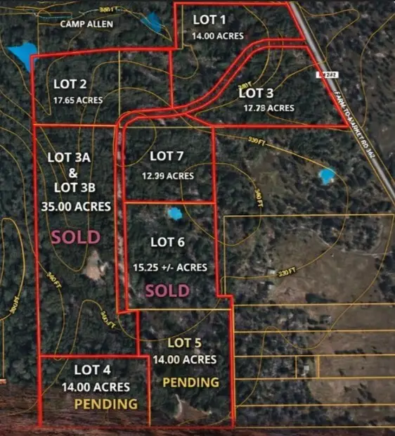 0013 Evergreen Lot 5 Fm 362 Road, Waller, TX 77484 - #2
