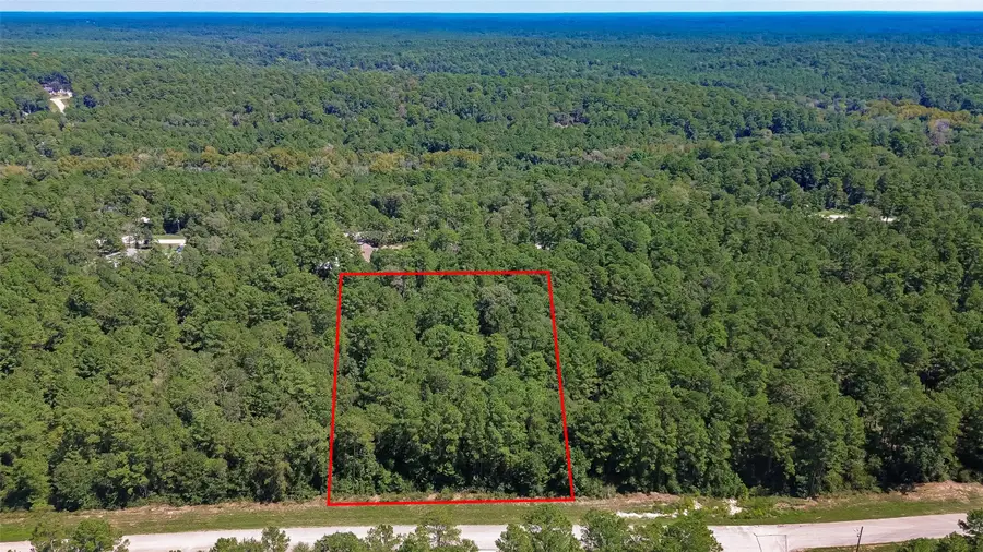 TBD Handler Road, Huntsville, TX 77340 - #2