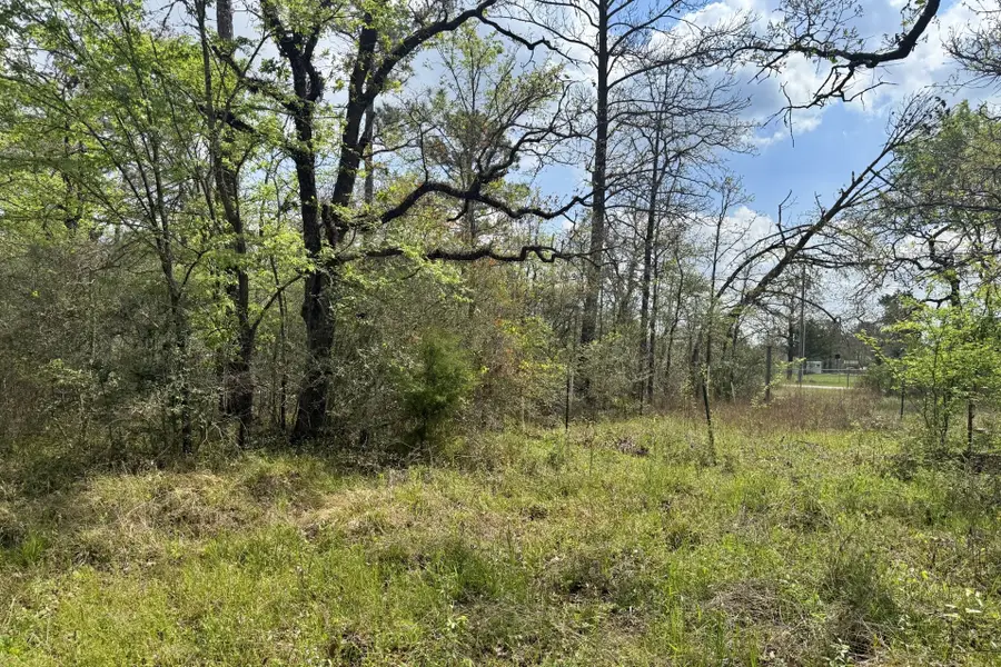 251 William Thomas Road, Huntsville, TX 77320 - #2